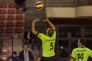 di giorgio in palleggio