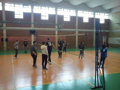 a scuola di volley, cirillo